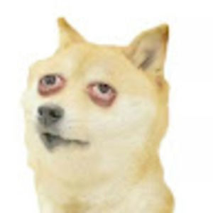 Meet your Posher, Gibbles :dd